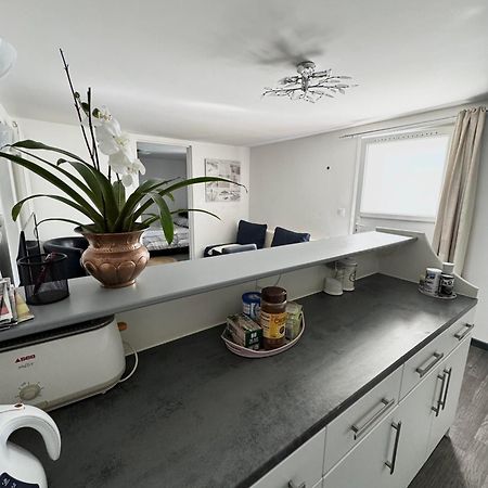 Appartement Detox Au Pied Du Semnoz Seynod Eksteriør bilde