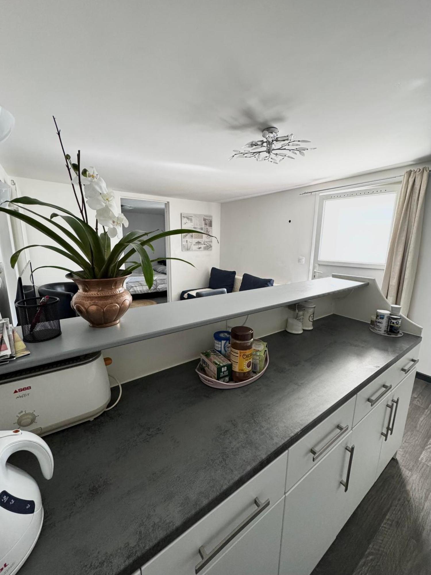 Appartement Detox Au Pied Du Semnoz Seynod Eksteriør bilde